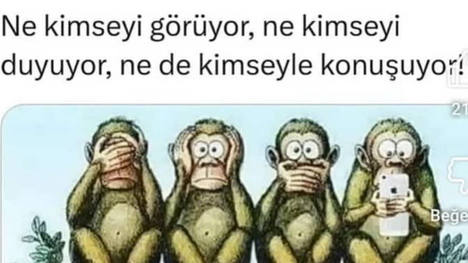 Dördüncü maymunu nasıl buldunuz😂?