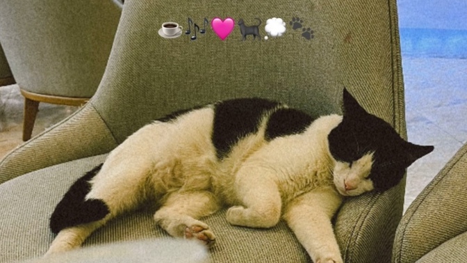 Kendinizle barışık olmadığınız dönemler oluyor mu?