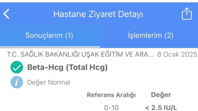 Aranızda bu hamilelik testinden anlayan var mı?