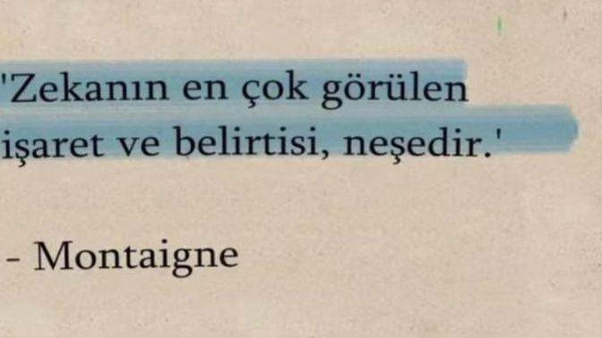 Zeki olduğuna inanıyor musun?