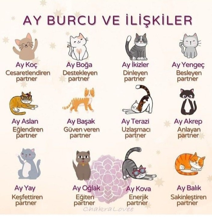 Ay burcuna göre ilişkileriniz nelerdir?