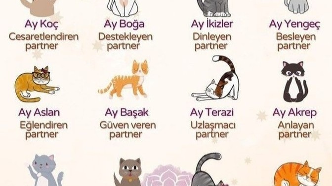 Ay burcuna göre ilişkileriniz nelerdir?