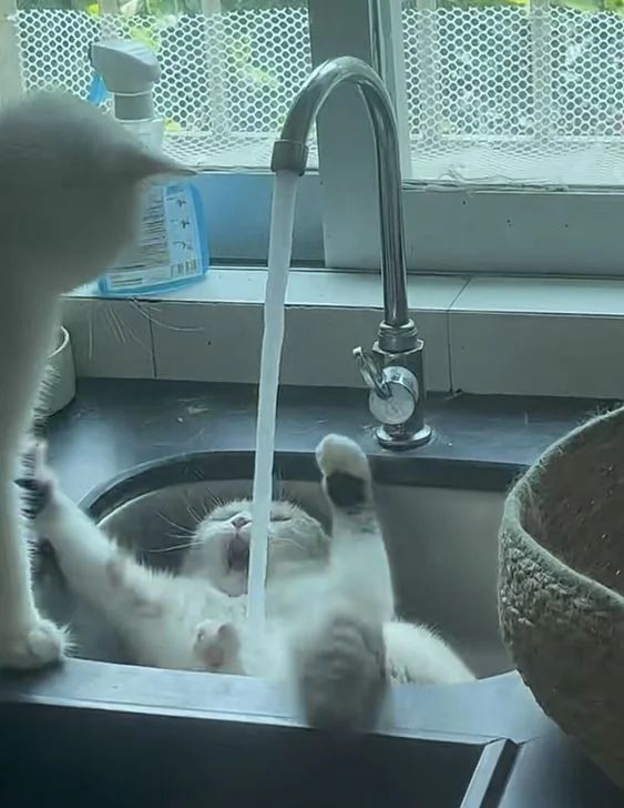 Duş almayı ne kadar çok seviyorsunuz?