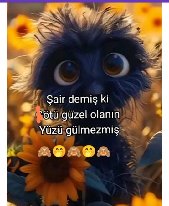 Sizin yüzünüz neden gülmedi 🤭?