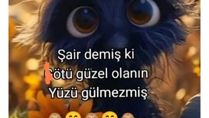 Sizin yüzünüz neden gülmedi 🤭?