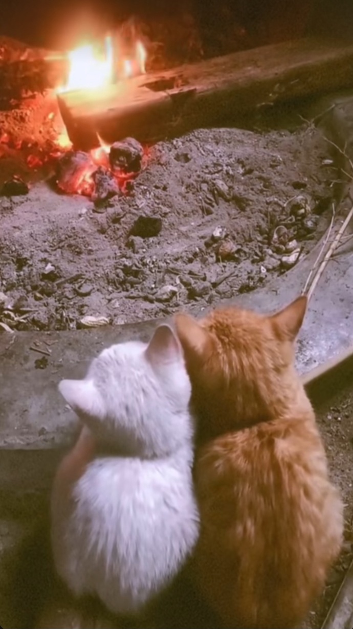 Aşk denilince akla ne gelir?