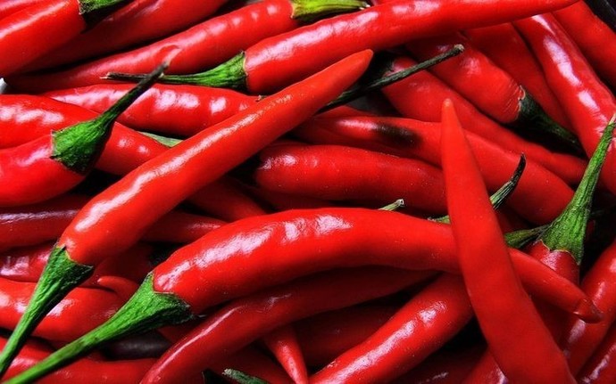 Tadı acı olsada yinede seviyorum dediğiniz şeyler nelerdir?