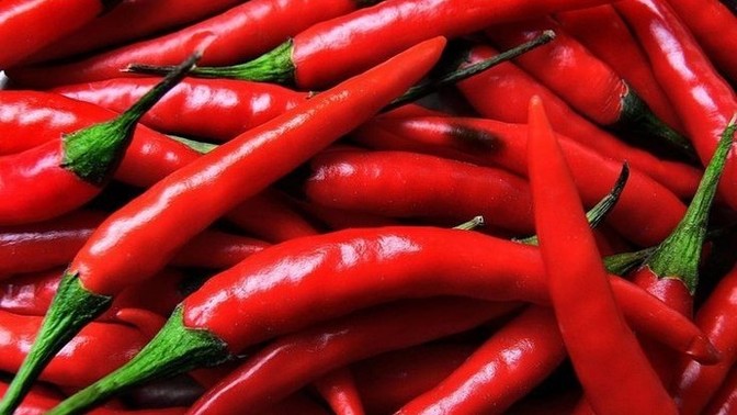Tadı acı olsada yinede seviyorum dediğiniz şeyler nelerdir?
