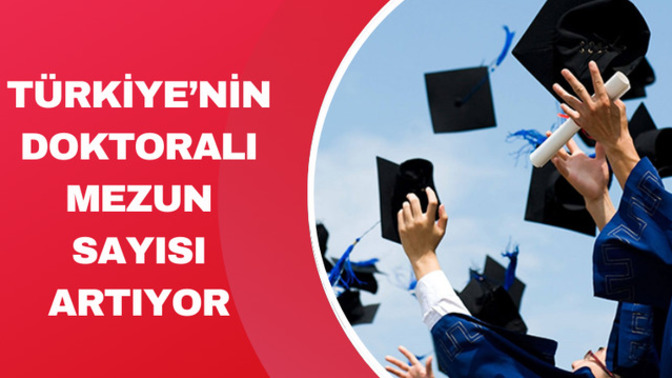 Gerçekten nitelikli bir eğitimle mesleginizde, dolu ve donanımlı şekilde mezun olduğunuzu düşünüyormusunuz?