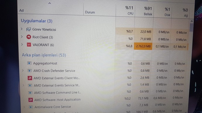 Valorantı ben bi kere açıyorum ama görev yöneticisinde 6 adet gözüküyor neden olabilir?