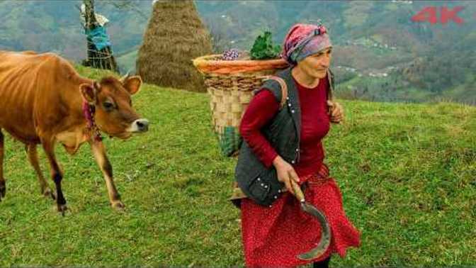 Karadeniz belgesellerini izlemeyi sever misiniz?