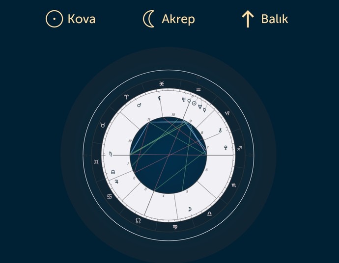 Biri benim doğum uaritamı açıklaya bilirmi hiç anlamıyorum 7. Ev ne?