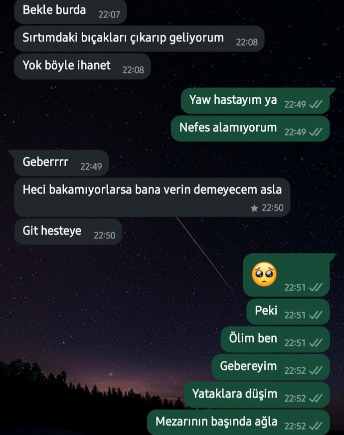 Arkadaşlarınız size ne diye hitap eder?