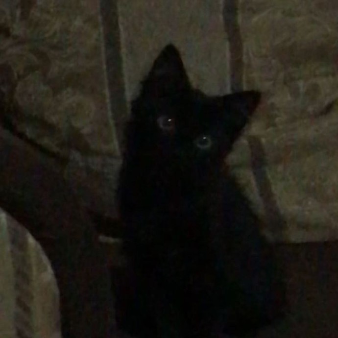 Ya depresyon yas tutmanın bir biçimiyse? Olması gerektiği gibi olmayan hayatımız için tutulan bir yas ise?