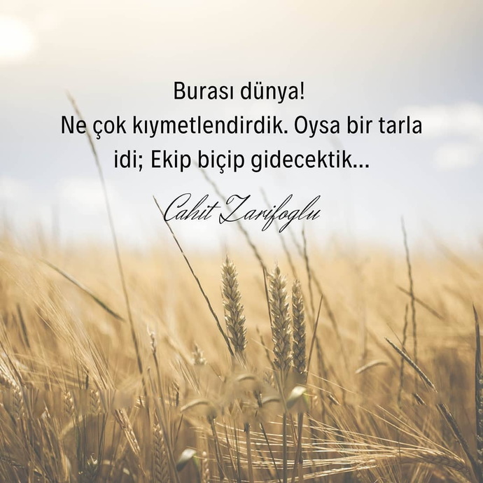 Arpa Eken Buğday Biçmez Ama! Rüzgar Eken Fırtına Biçer Gördüklerim Bu Sözlerin Haklı Olduğu Gösterdi. Sizce de Haklımı?