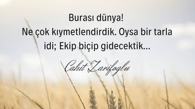 "Arpa Eken Buğday Biçmez Ama! Rüzgar Eken Fırtına Biçer" Gördüklerim Bu Sözlerin Haklı Olduğu Gösterdi. Sizce de Haklımı?