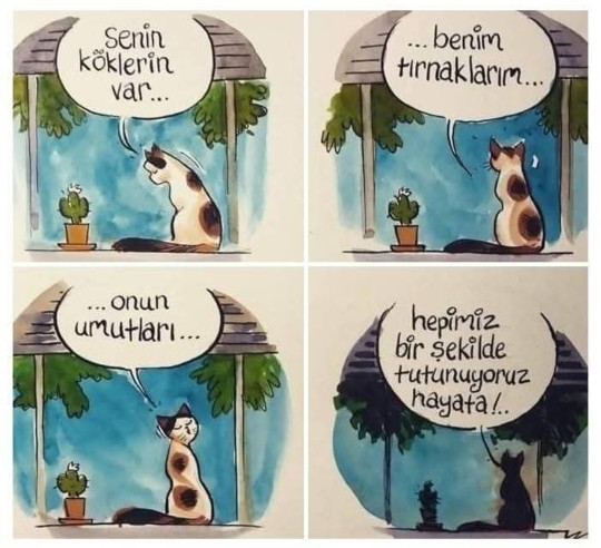 Hayata tutunmak için sebebiniz var mı?