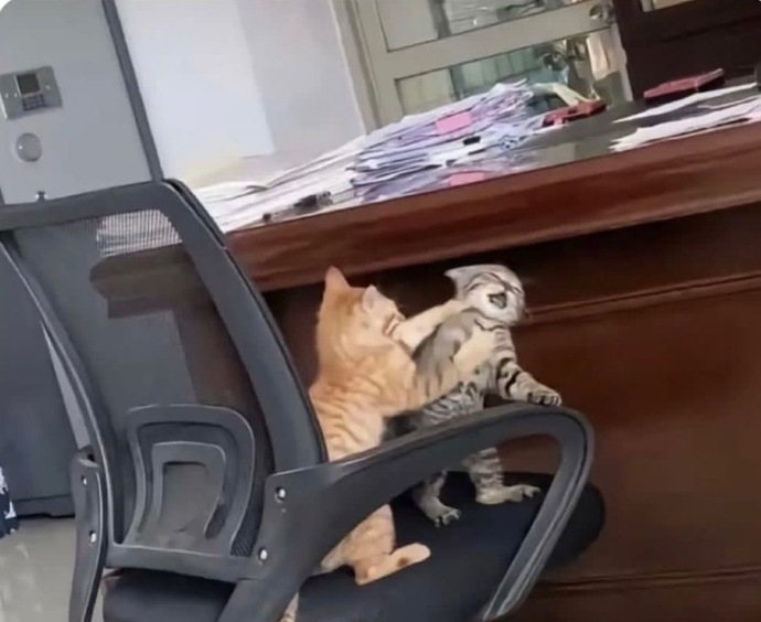 Çocukken kardeşiyle geçinebilen var mıydı?