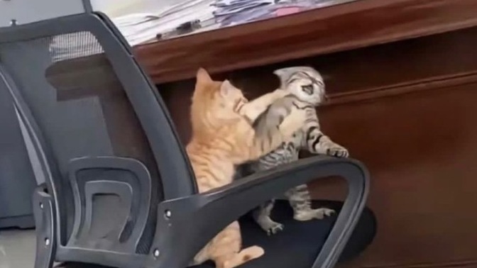 Çocukken kardeşiyle geçinebilen var mıydı?