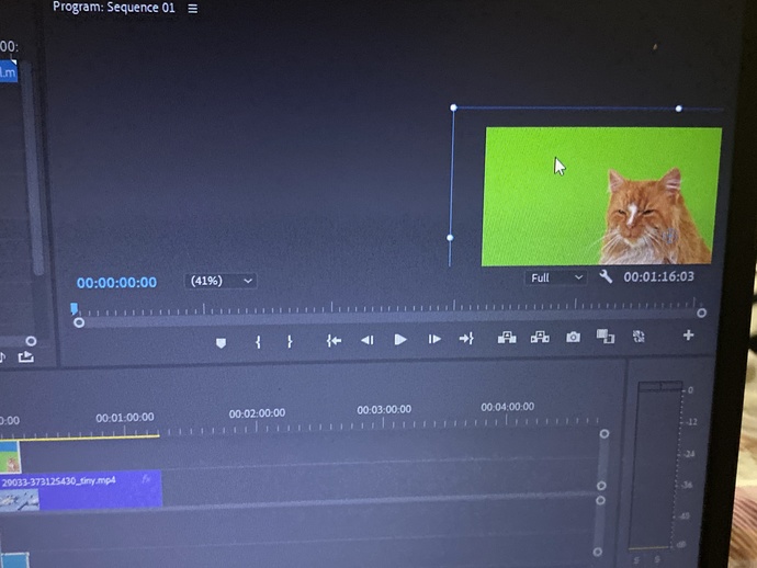 Adope Premier Pro Ekranı Nasıl Büyütebilirim?