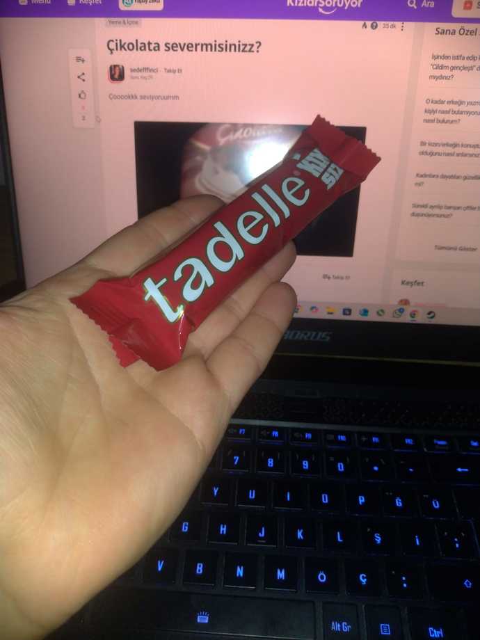 Çikolata severmisinizz?