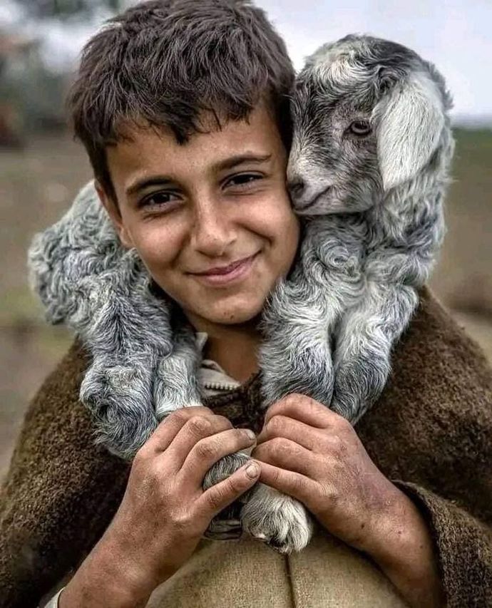 Seviyor musun sahiden?