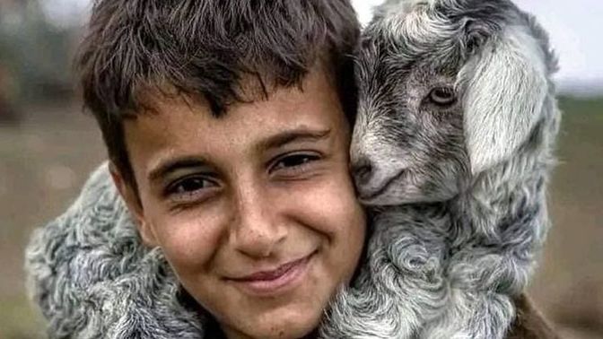 Seviyor musun sahiden?