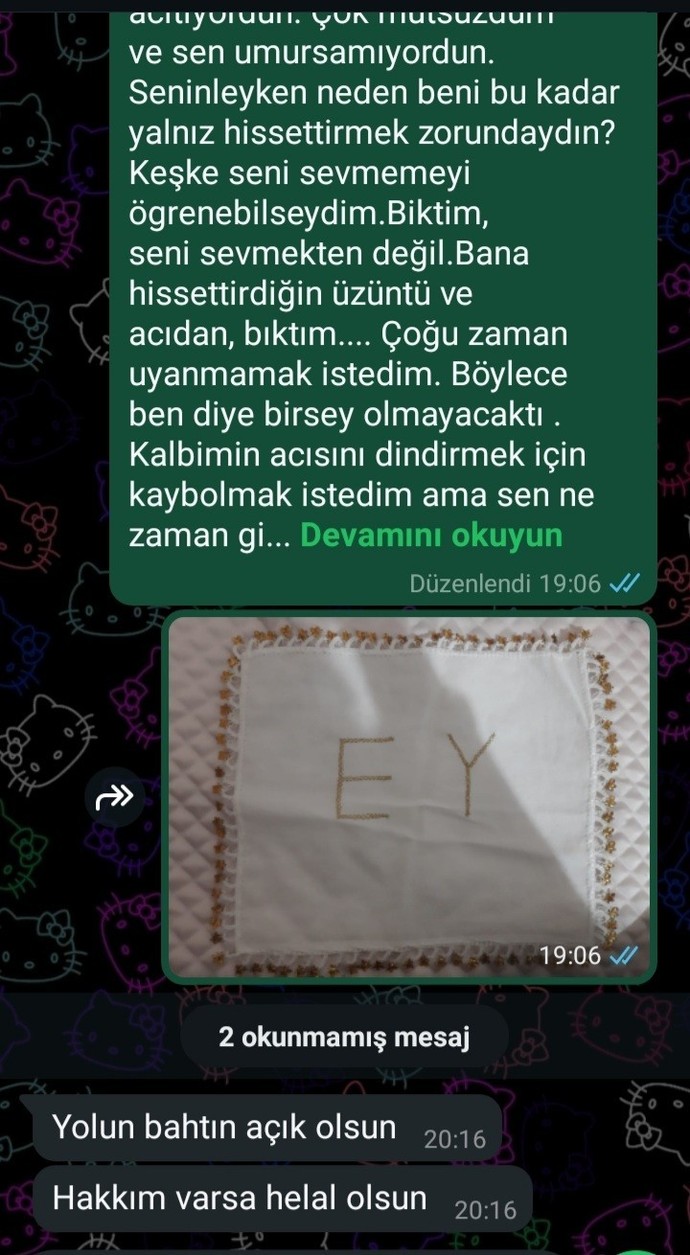 Eski sevgilime bu kadar yazı döşedim bana verdiği cevaba bakın hiç mi sevmemiş?