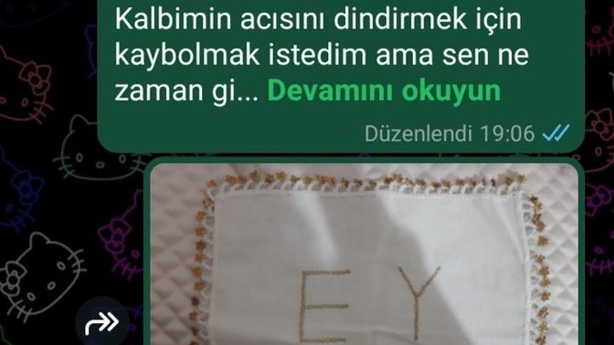 Eski sevgilime bu kadar yazı döşedim bana verdiği cevaba bakın hiç mi sevmemiş?