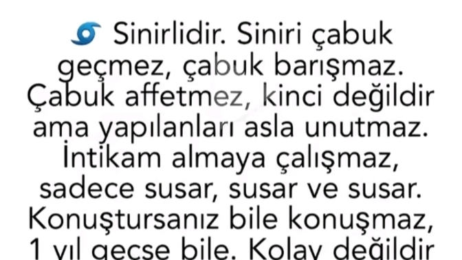 Kendi burcunuzda sevmediğiniz yanlarınız var mı?