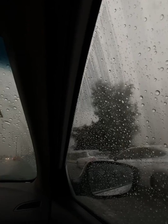 😞😝Bugün İzmir biraz yağmurlu?