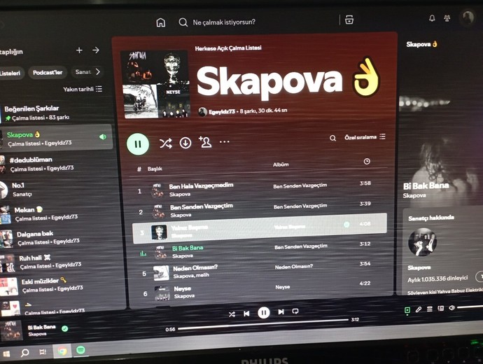 Monitör böyle oluyor neden?