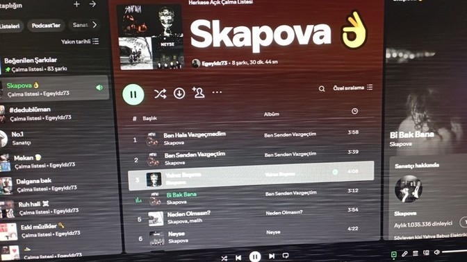 Monitör böyle oluyor neden?