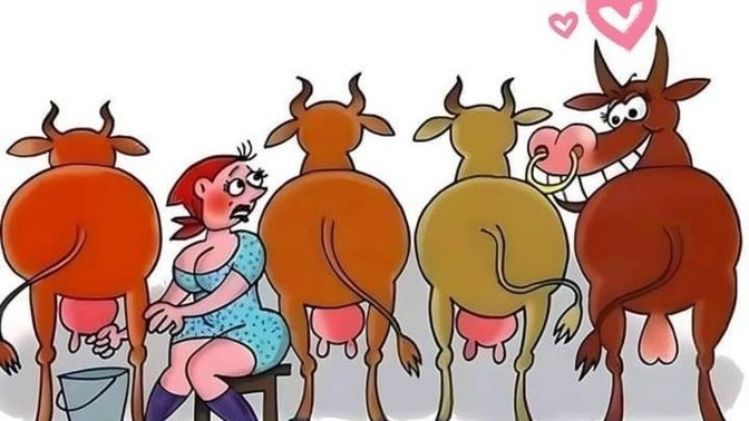 Sevmeden hayat geçer mi?