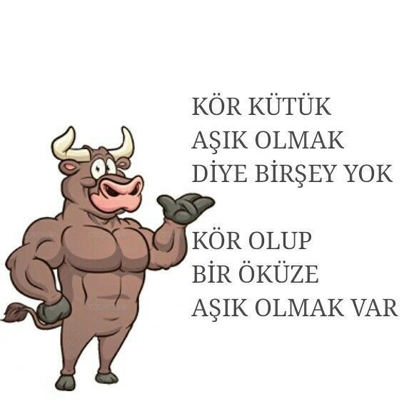 En güzel aşk😍 yasanmamis olani midir?