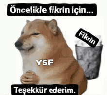Başkalarının fikirlerine saygı duyar mısınız?