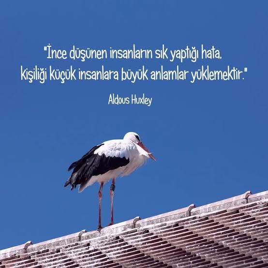 İnce düşünceli arkadaşlarınız var mı?