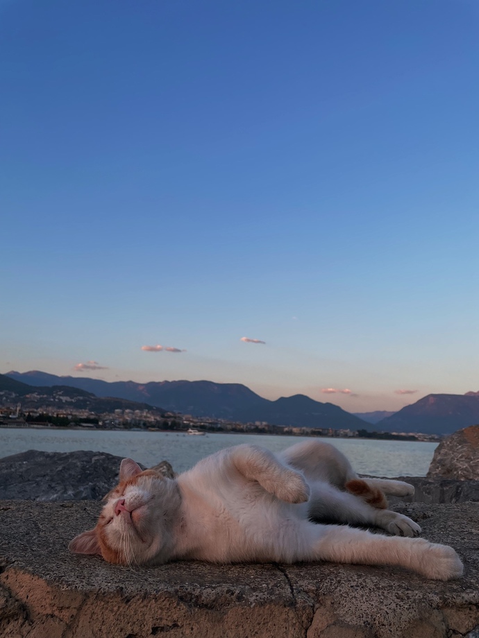 Fotoğraf çekmeyi sever misiz?