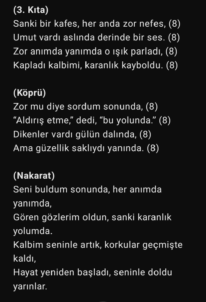 Şarkı sözüm nasıl olmuş? Sözler bana ait düzenleme kısmı değil?