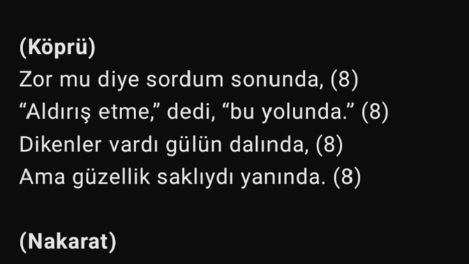 Şarkı sözüm nasıl olmuş? Sözler bana ait düzenleme kısmı değil?