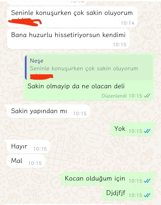 Daha çok sakin bir yapıya mı sahipsiniz, yoksa heyecanlı bir yapıya mı?