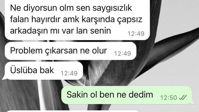 Benim bir üslupsuz lafım mı olmuş?
