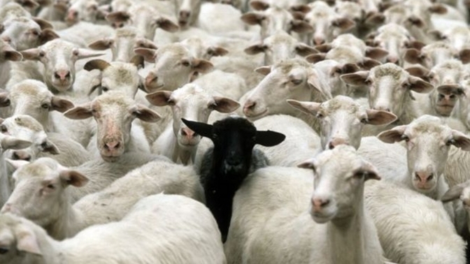 Sizi diğerlerinden ayıran farkınız nedir?