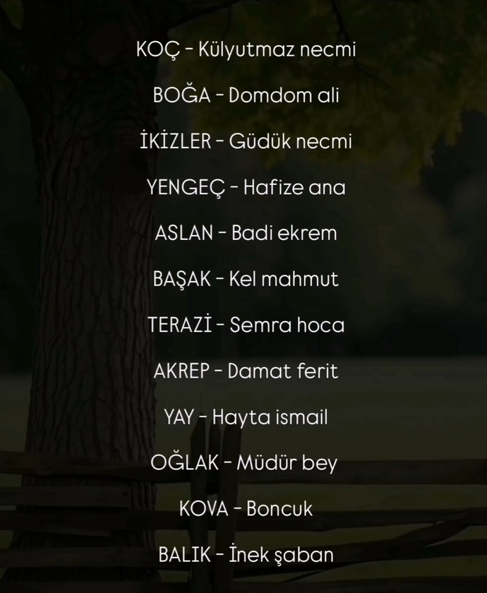Burçlar hababam sınıfı olsaydı hangi karakter olurdu?