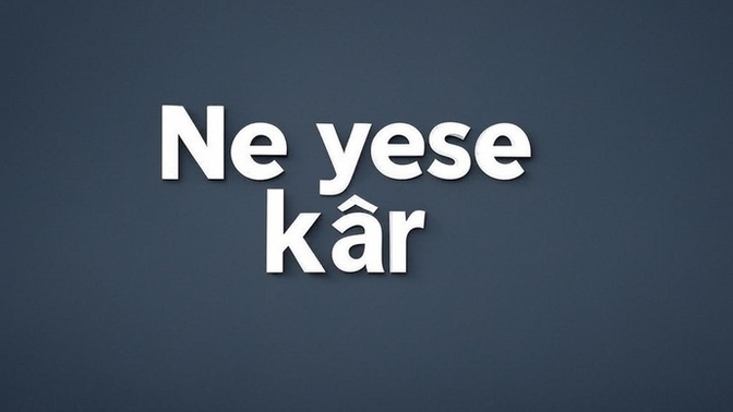 İleride kuracağım partiye üye olmak istermisiniz?