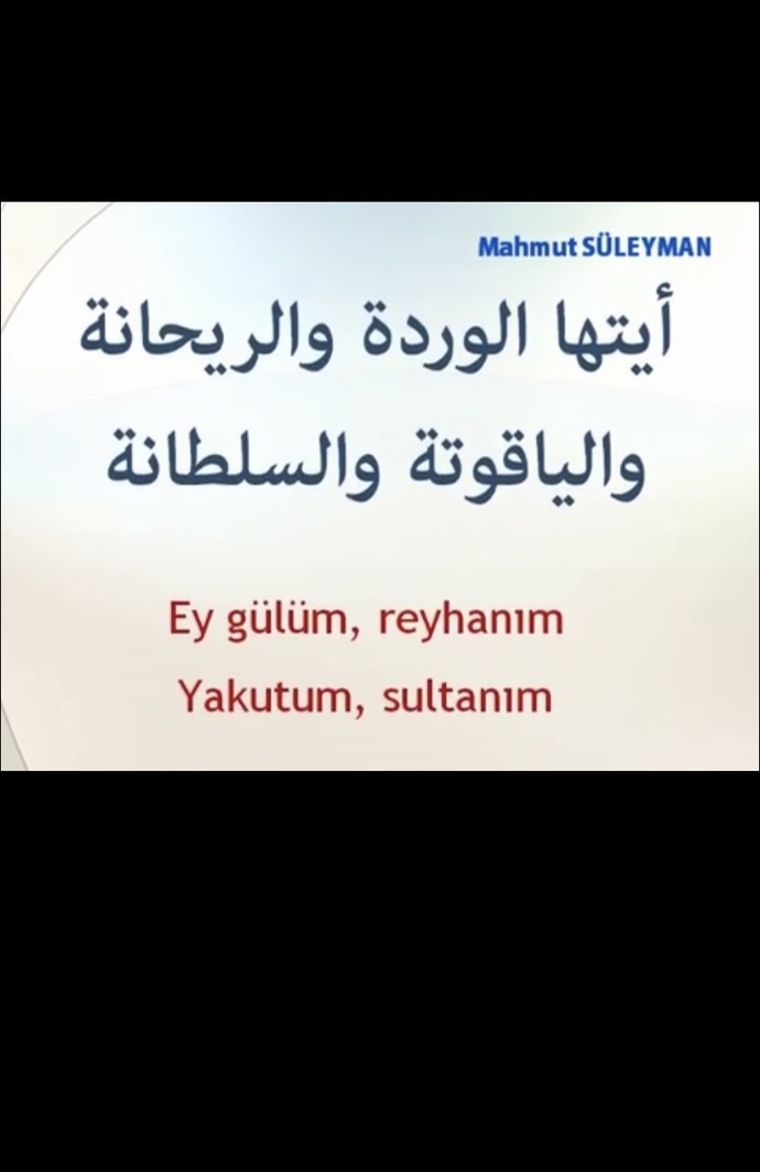 Sizi anlatan bir sarki var mi?