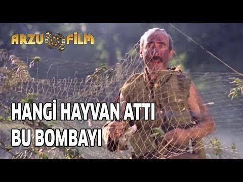Sizden hangi hayvan olurdu söyleyeyim mi?