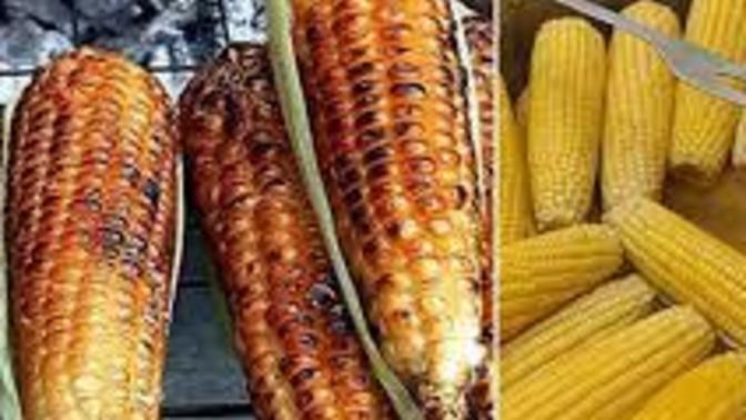 Közlenmiş mısır mı Haşlanmış mısır mı? 🌽 ?