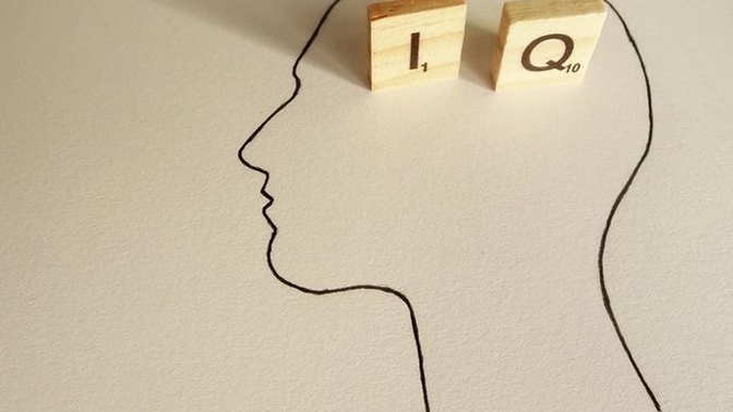 Bir insanın İQ seviyesini neye göre ölçersiniz?