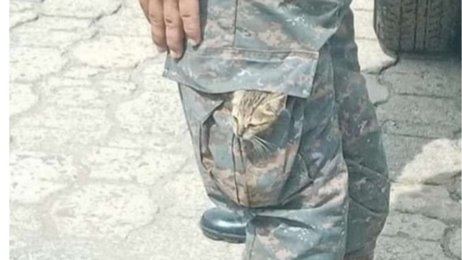Cebinize sığdırabilecek olsanız neyi sürekli yanınızda taşırdınız?